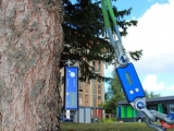 TRU樹木雷達、Picus 3和TreeQinetic落戶長春市園林植物保護站