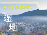 2月2日是第27個(gè)世界濕地日，我國(guó)新增國(guó)際重要濕地18處